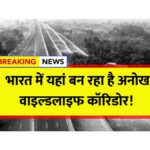 Delhi-Dehradun Expressway