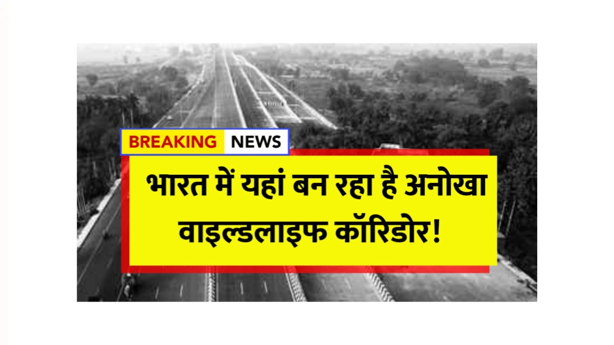 Delhi-Dehradun Expressway