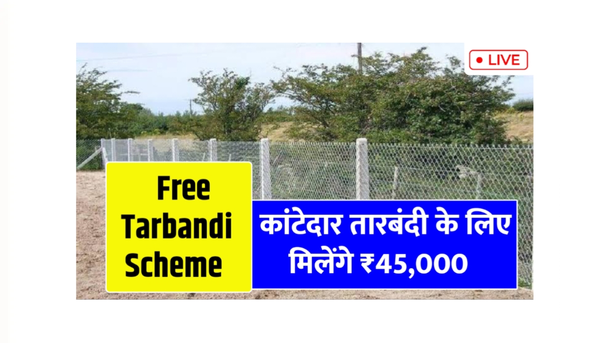 Free Tarbandi Yojana 2025