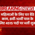 Mahila Work From Home