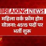 Mahila Work From Home