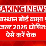 Rajasthan 5th Board Result