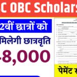 Scholarship Status 2025