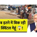 Wheat Price Hike