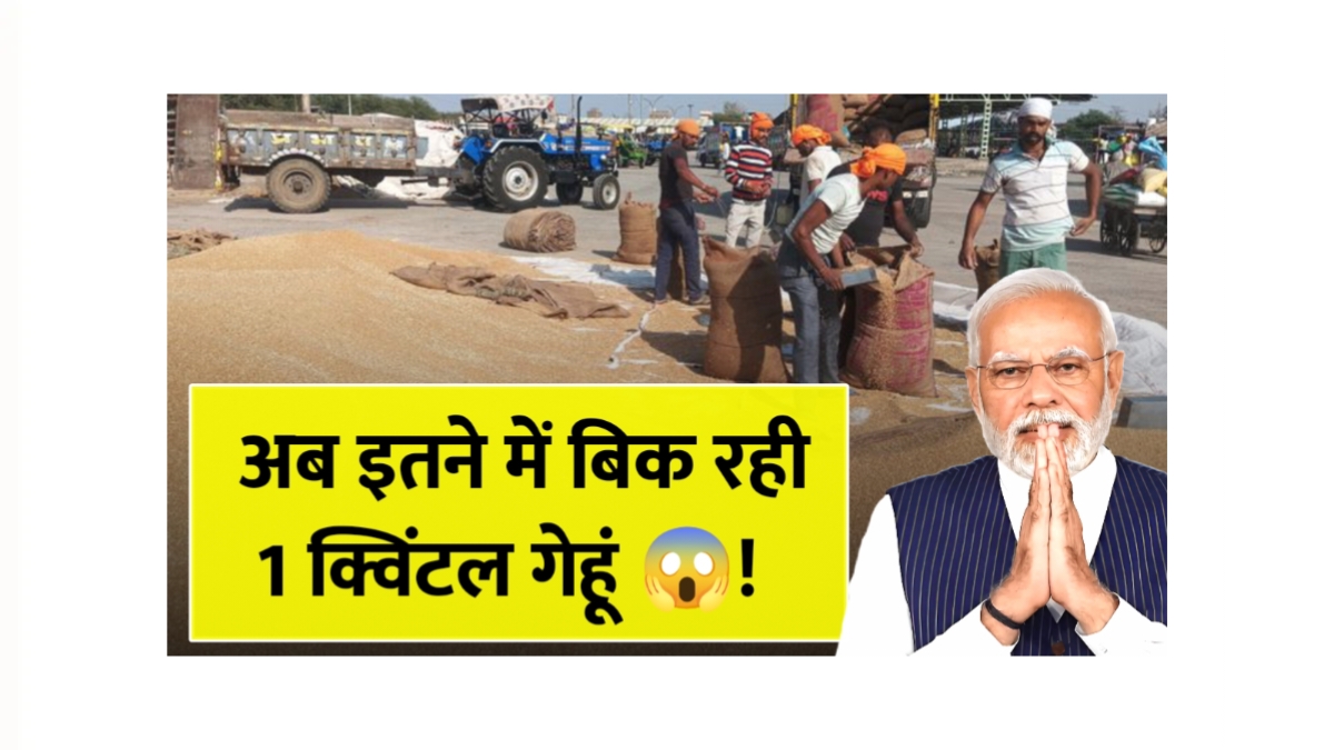 Wheat Price Hike
