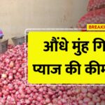 Onion Price Update
