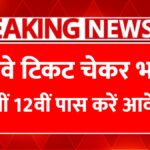 Railway Ticket Checker Job