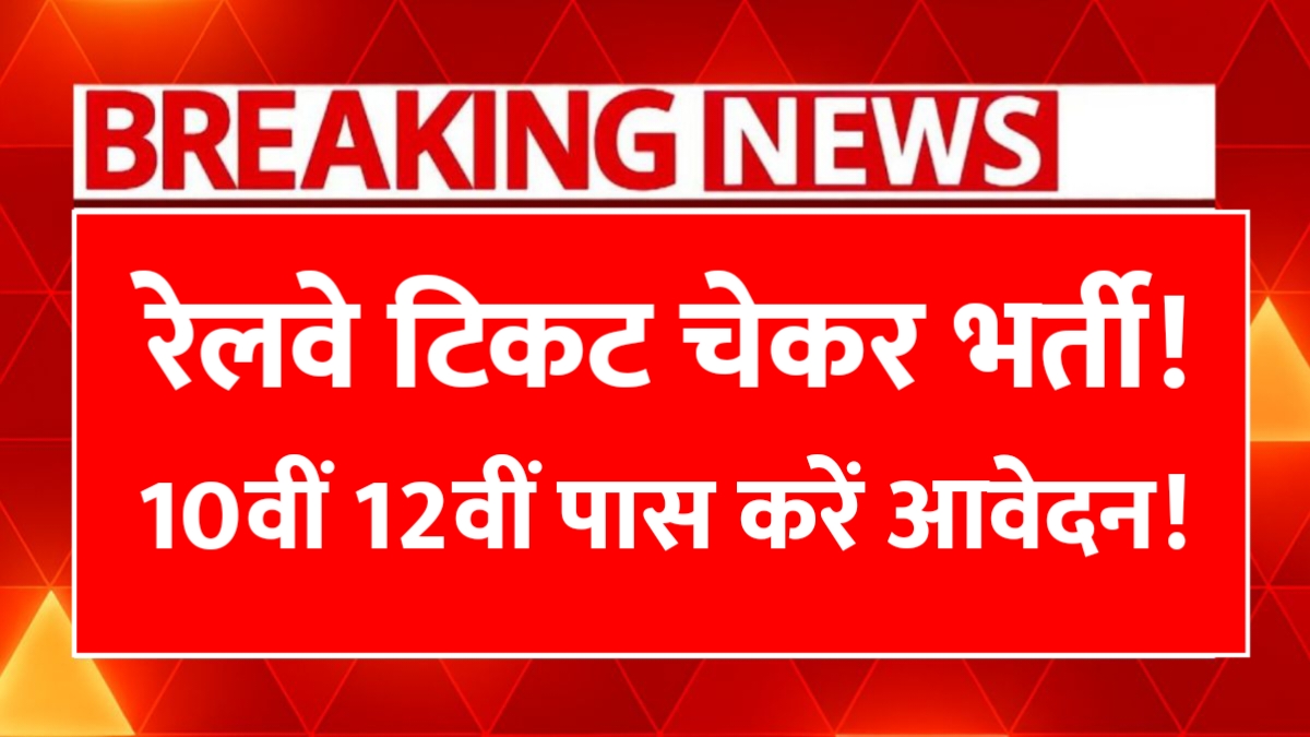 Railway Ticket Checker Job