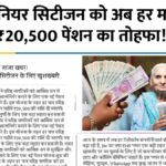 Senior Citizen Pension